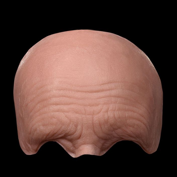 FH1 - Generic Old Age Forehead Unisex