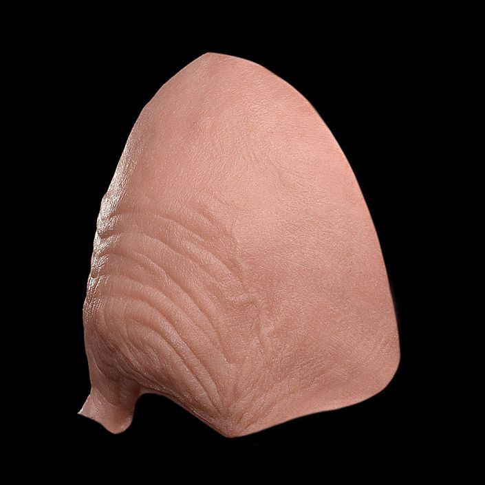 FH1 - Generic Old Age Forehead Unisex - Image 3