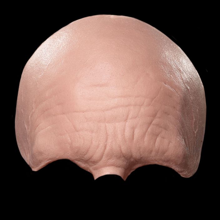 FH10 - Old Age Forehead Male