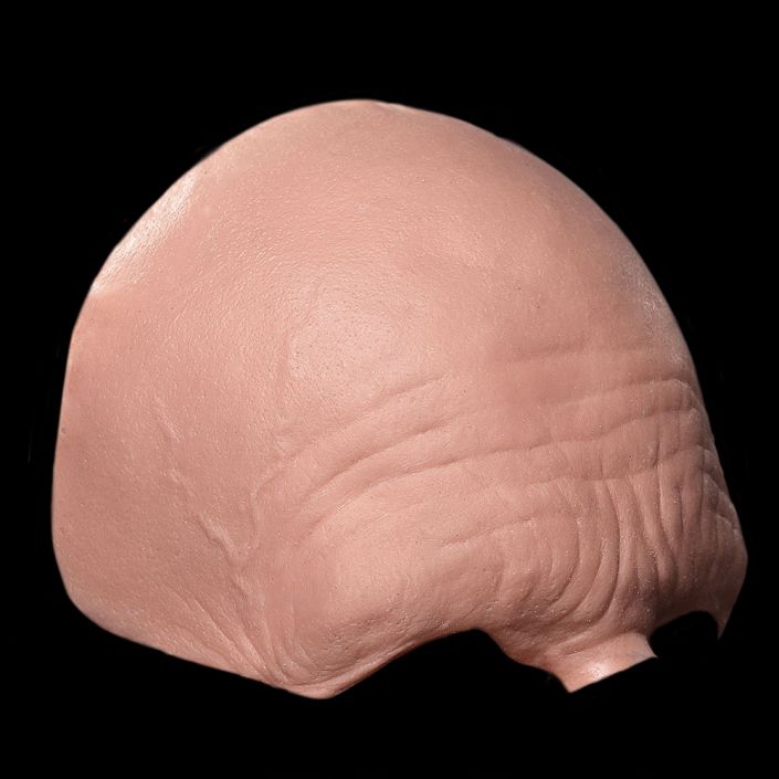 FH10 - Old Age Forehead Male - Image 2