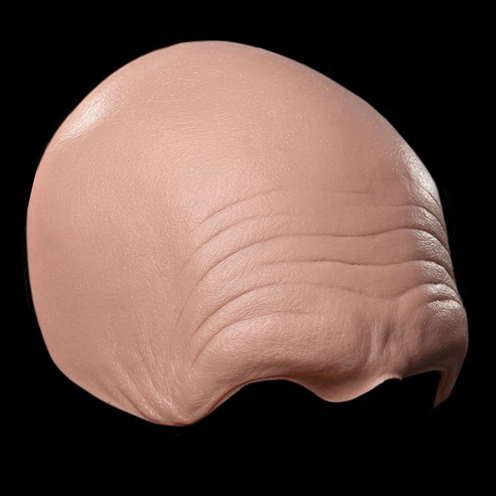 FH14 - Old Age Forehead Male - Image 2