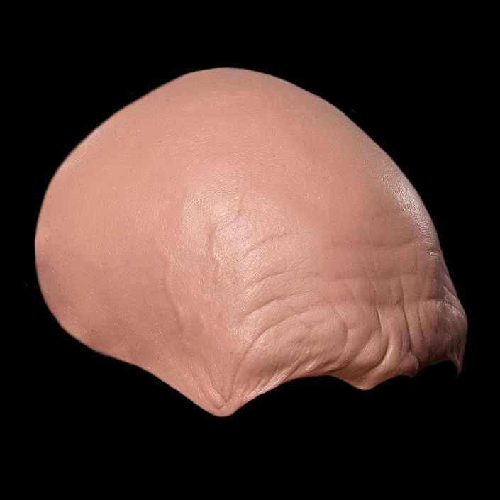 FH2 - Old Age Forehead Male - Image 2