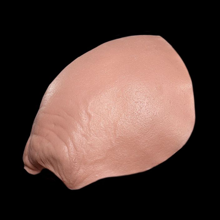 FH2 - Old Age Forehead Male - Image 3