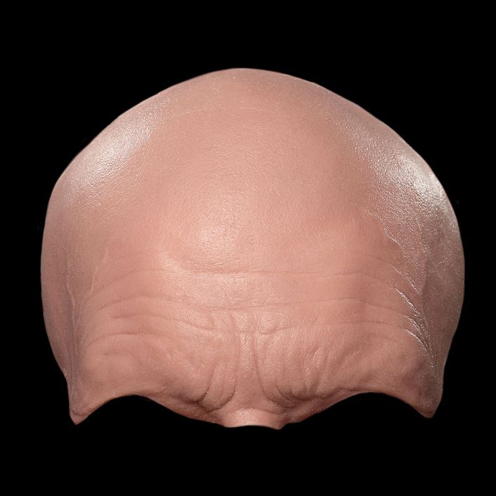 FH8 - Old Age Forehead Unisex