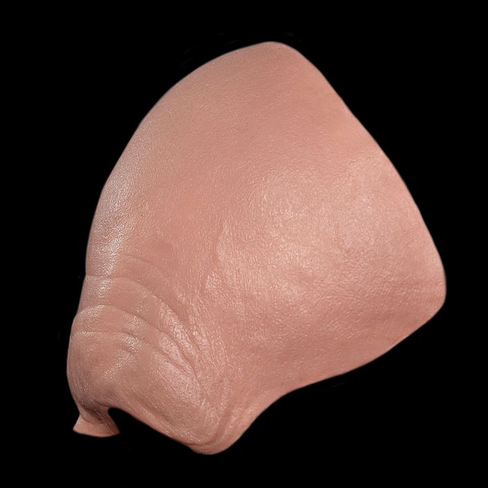 FH8 - Old Age Forehead Unisex - Image 3