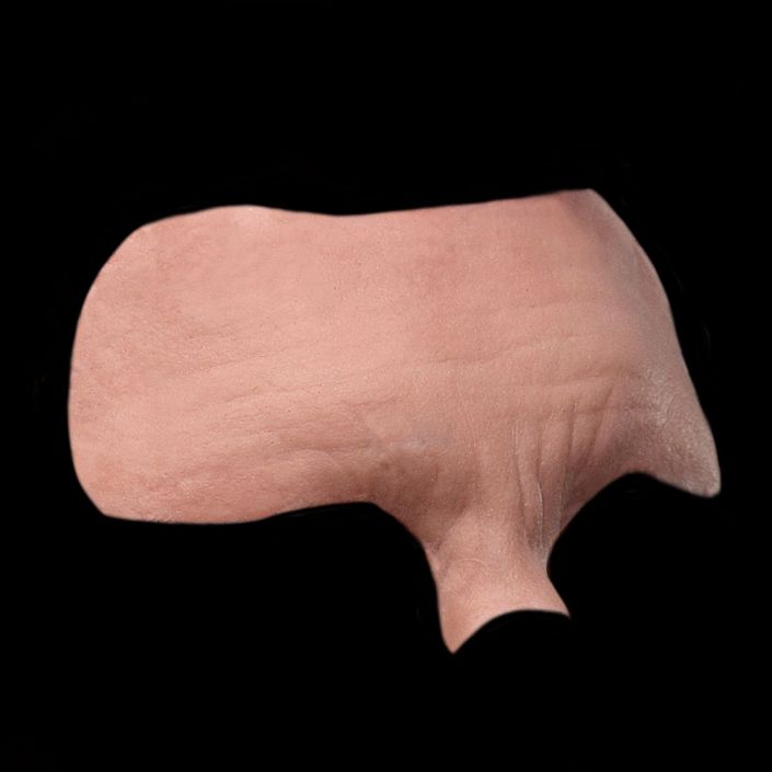 FH9 - Old Age Forehead Male - Image 2