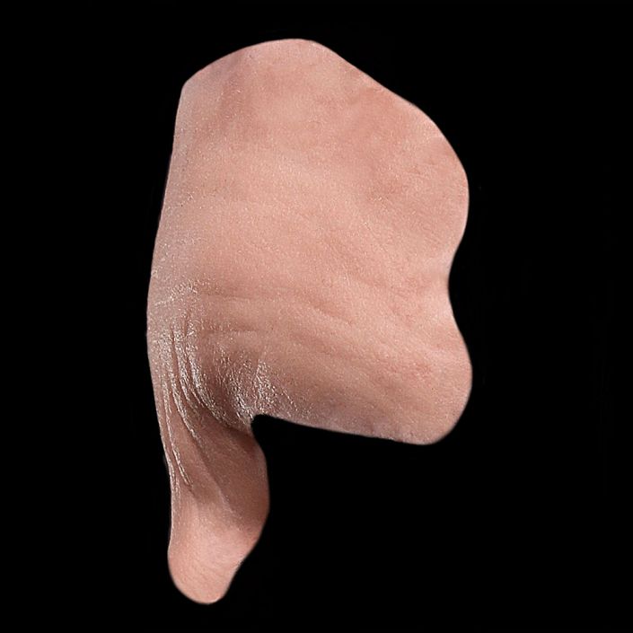 FH9 - Old Age Forehead Male - Image 3