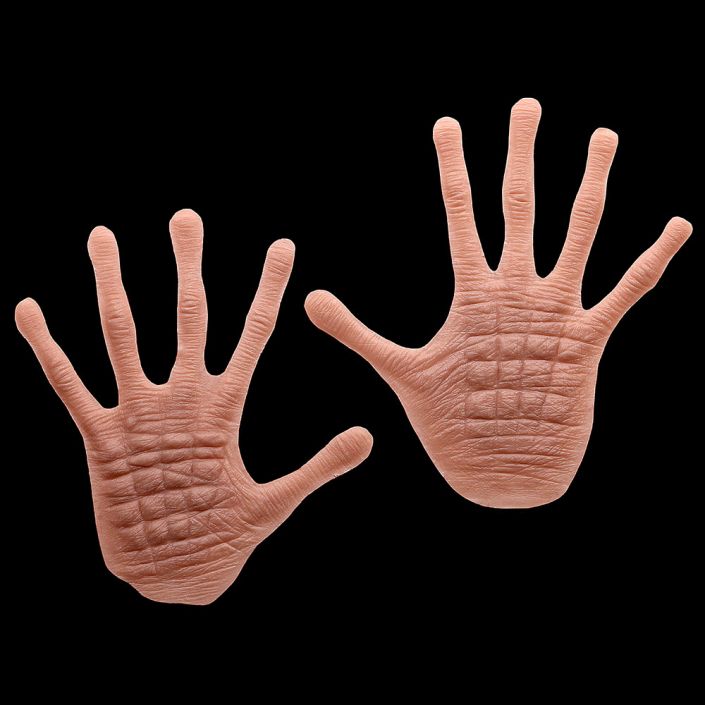 HN1 - Reptile Hands