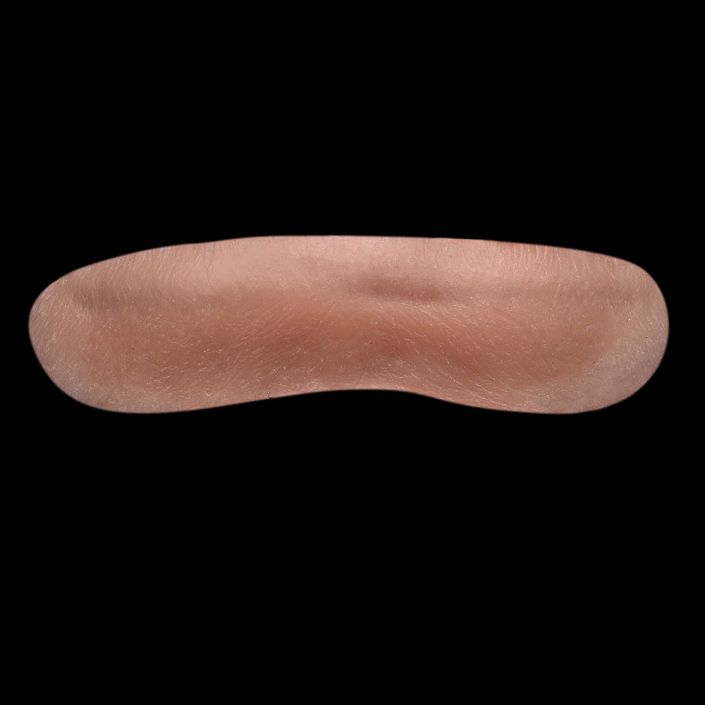 L1 - Old Age Bottom Lip Unisex