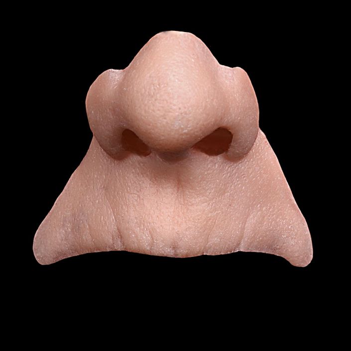 N1 - Old Age Nose & Upper Lip Unisex