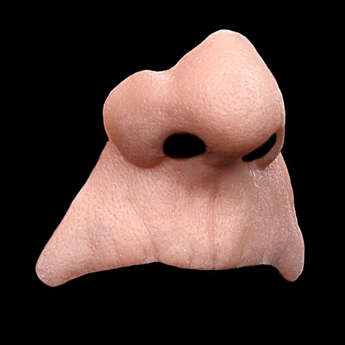 N1 - Old Age Nose & Upper Lip Unisex - Image 2