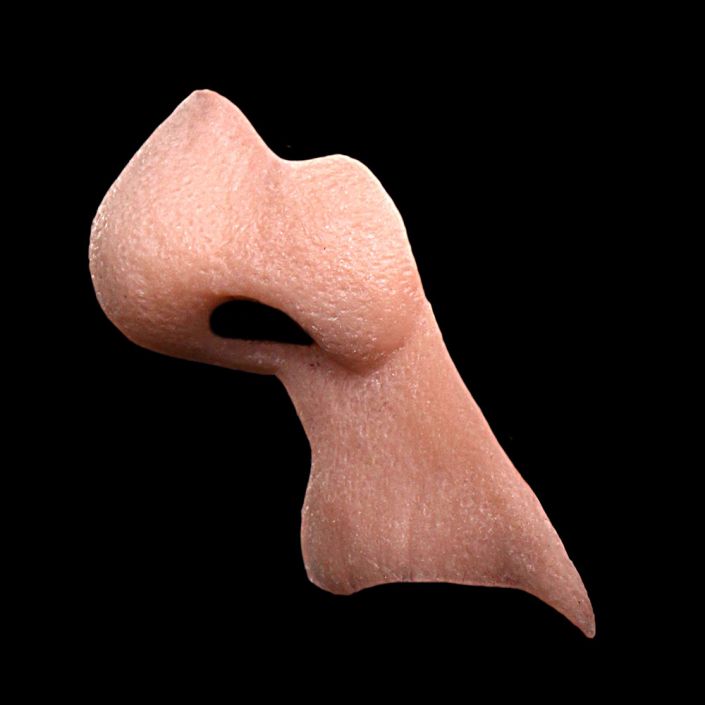 N1 - Old Age Nose & Upper Lip Unisex - Image 3