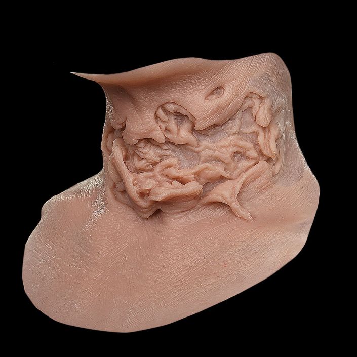 TH1 - Torn Throat Male - Image 2
