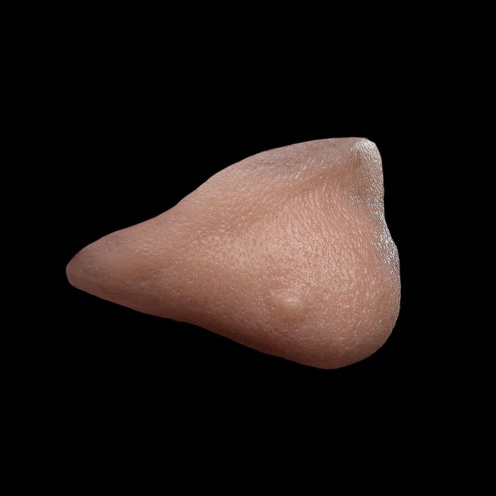 WC1 - Witch Chin - Image 2