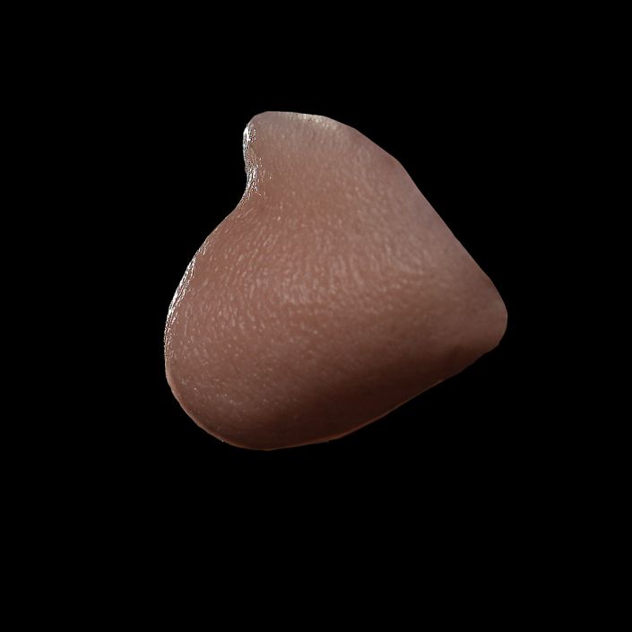 WC1 - Witch Chin - Image 3