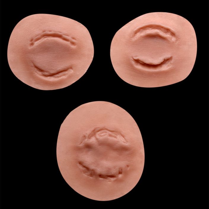 B3 - Set of Bite Wounds 2