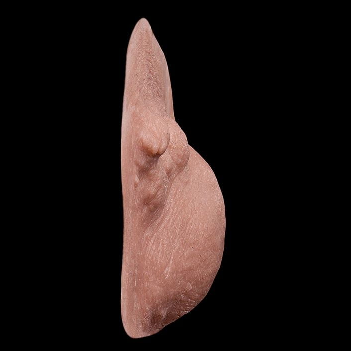 BL1 - Set of Boils Large - Image 3
