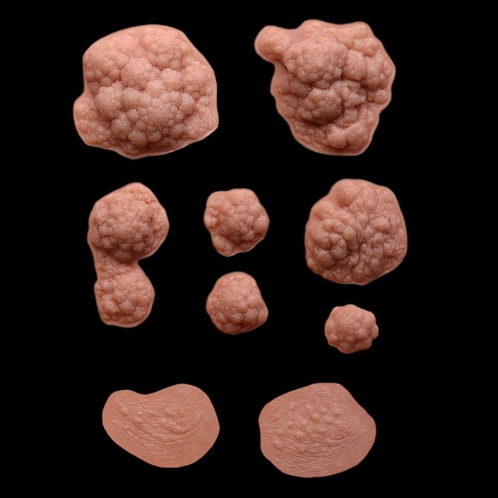 CB2 - Cauliflower Boils Large