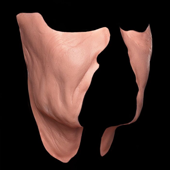 CK10 - Old Age Cheeks Female