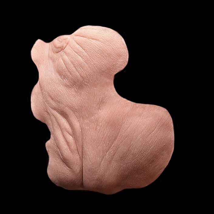 CK17 - Old Age Cheeks Male - Image 3