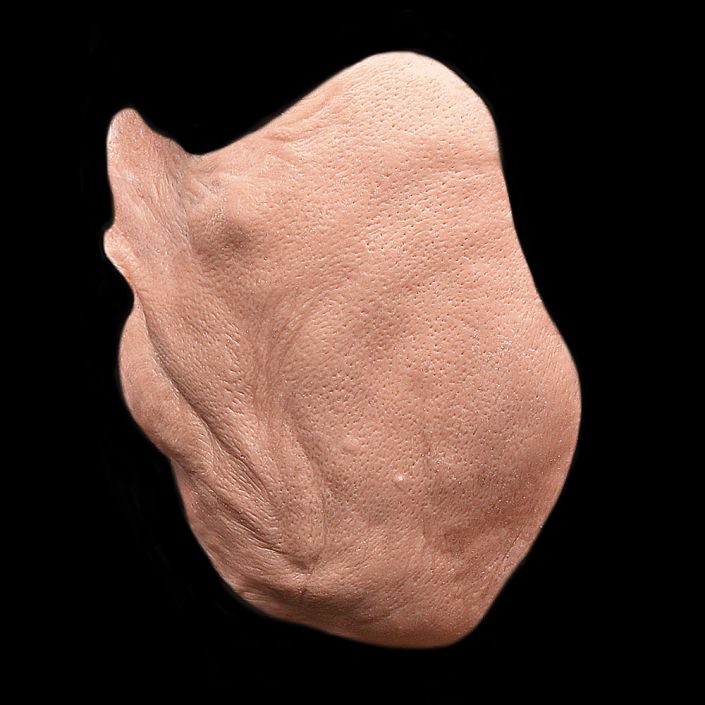 CK22 - Old Age Cheeks Male - Image 3