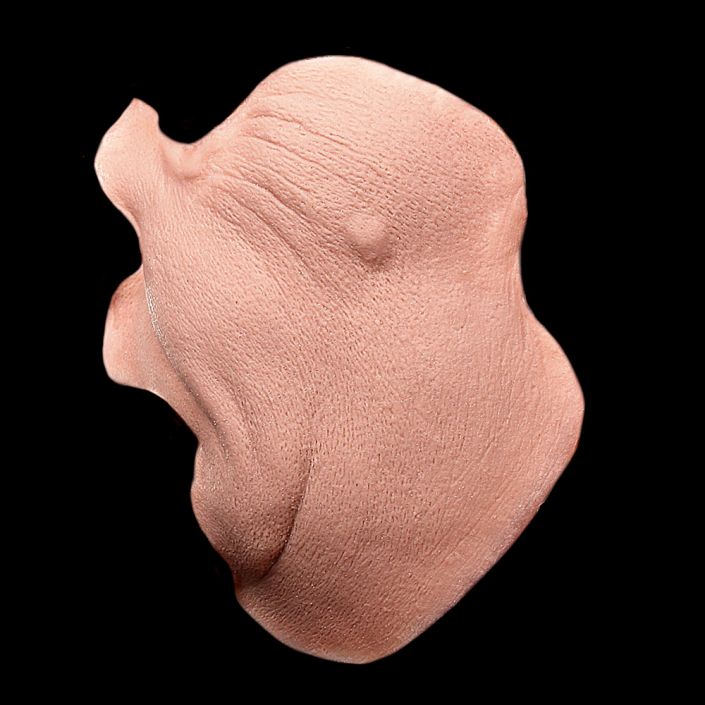 CK3 - Old Age Fat Cheeks Male - Image 3