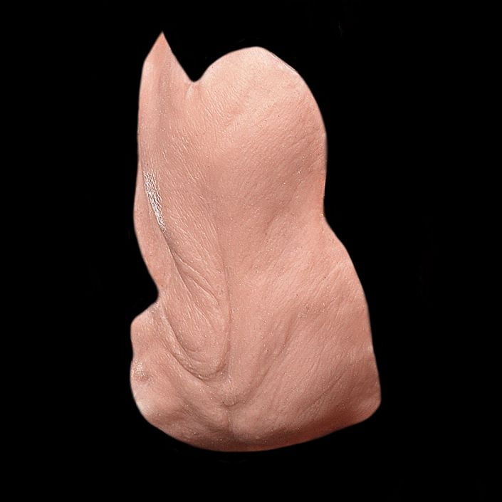 CK5 - Old Age Cheeks Male - Image 3