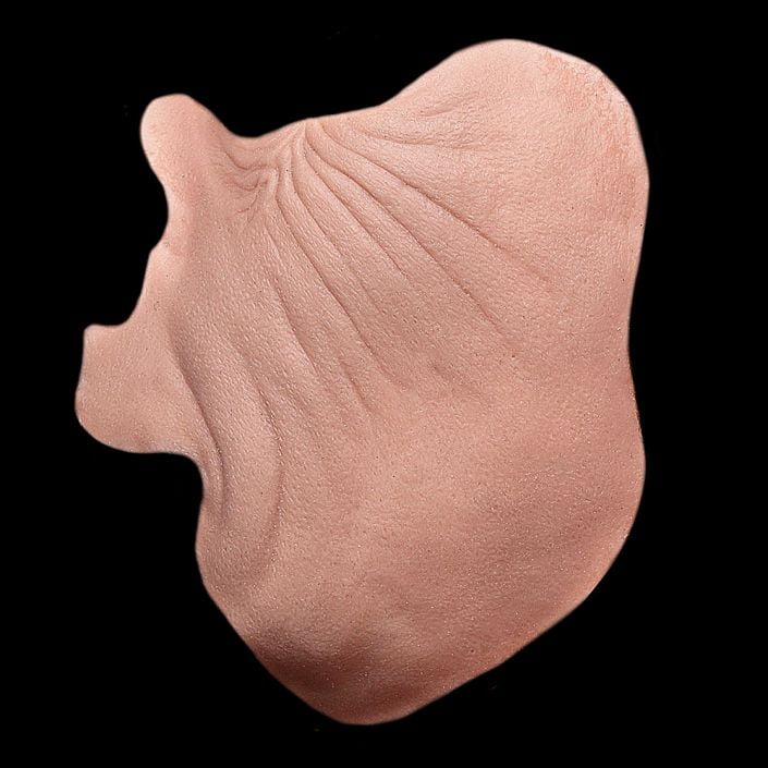 CK6 - Old Age Cheeks Male - Image 3