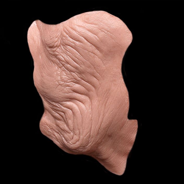 CK9 - Old Age Cheeks Female - Image 3