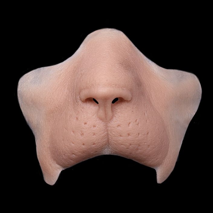 LF1 - Lion Snout Female