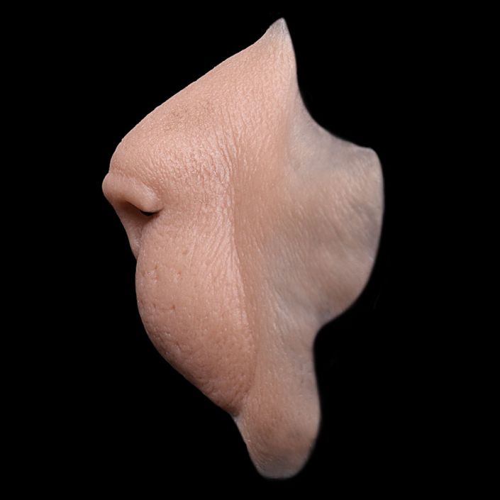 LF1 - Lion Snout Female - Image 3
