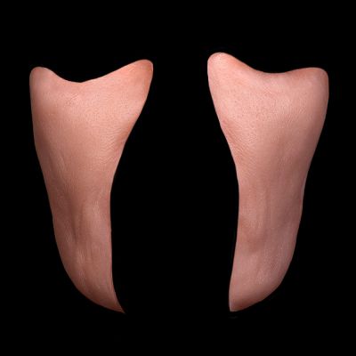 CK37 - Old Age Cheeks Female