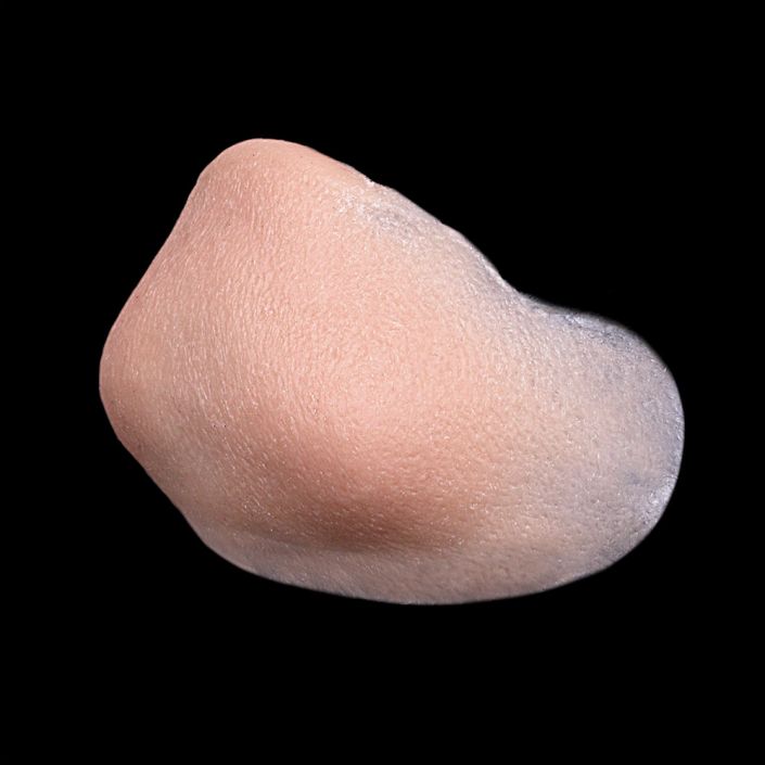 LC1 - Lion Chin Unisex - Image 2
