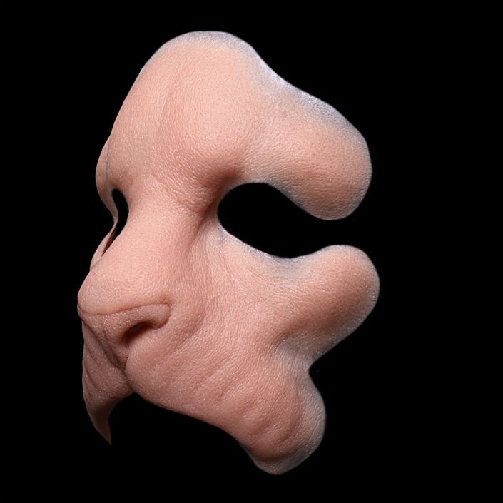 LM1 - Lion Face Male - Image 2