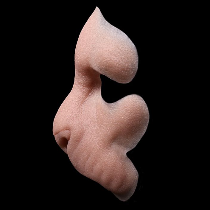 LM1 - Lion Face Male - Image 3