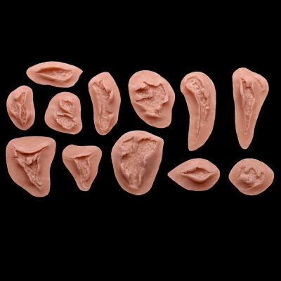 WD6 - Set of Various Wounds Small