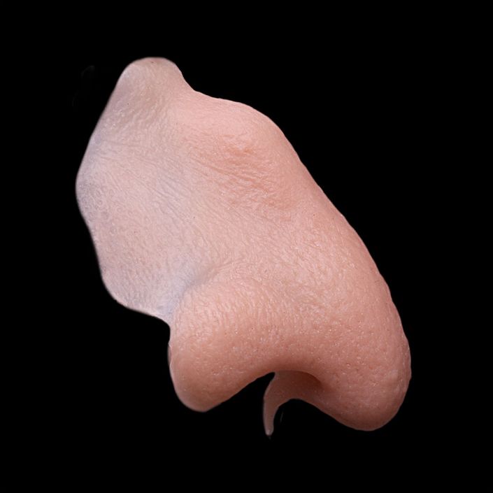 WN1 - Witch Nose - Image 3