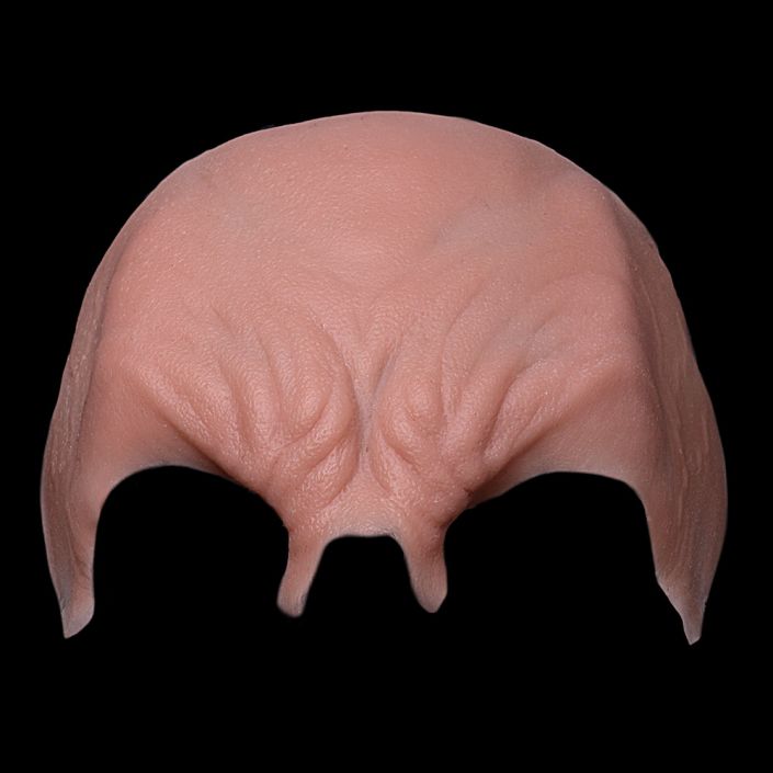 VB1 - Vampire Brow