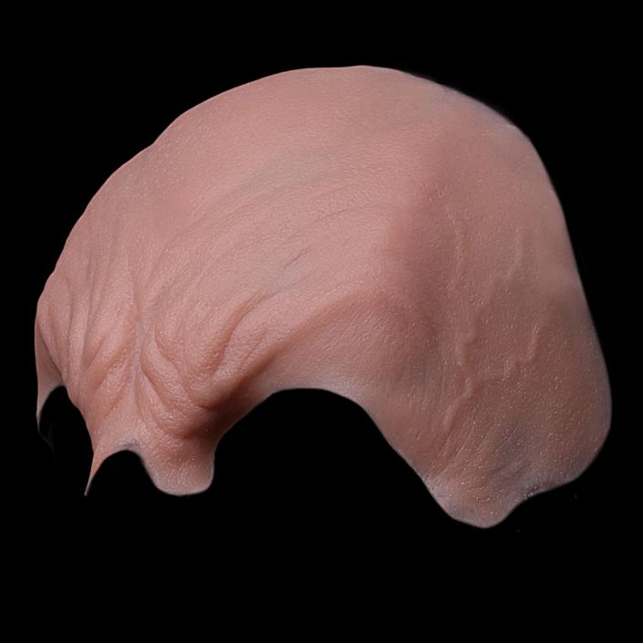 VB1 - Vampire Brow - Image 2