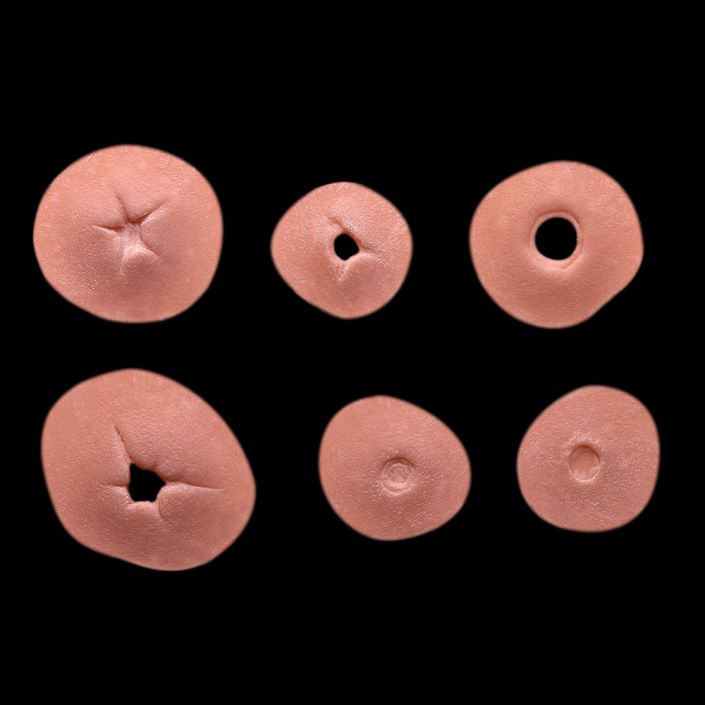 WD11 - Bullet Wounds Entry