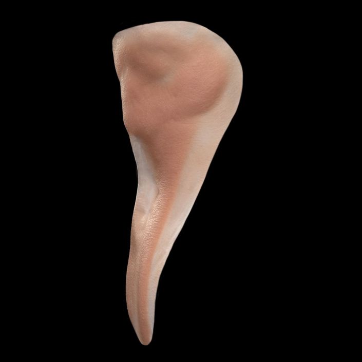 BC2 - Back of Head Bald Cap Blender - Image 3