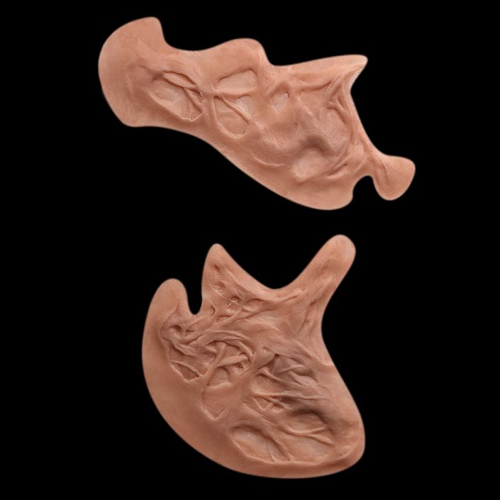 BR2 - Set of Burns