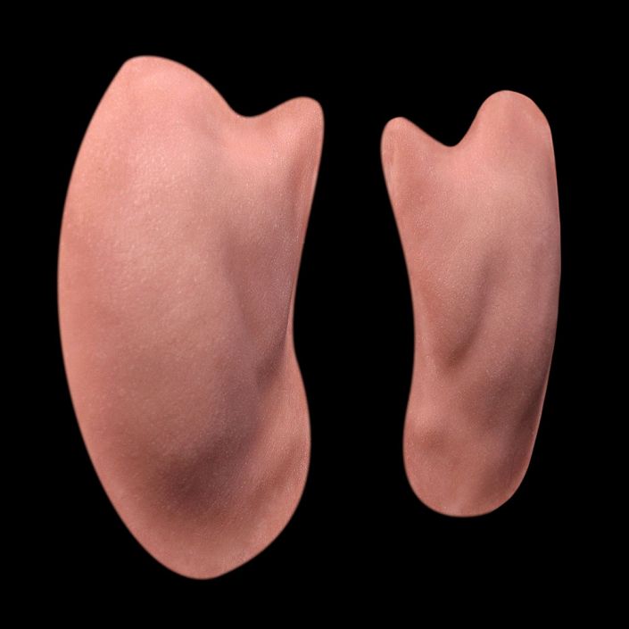 CK38 - Generic Fat Cheeks Unisex