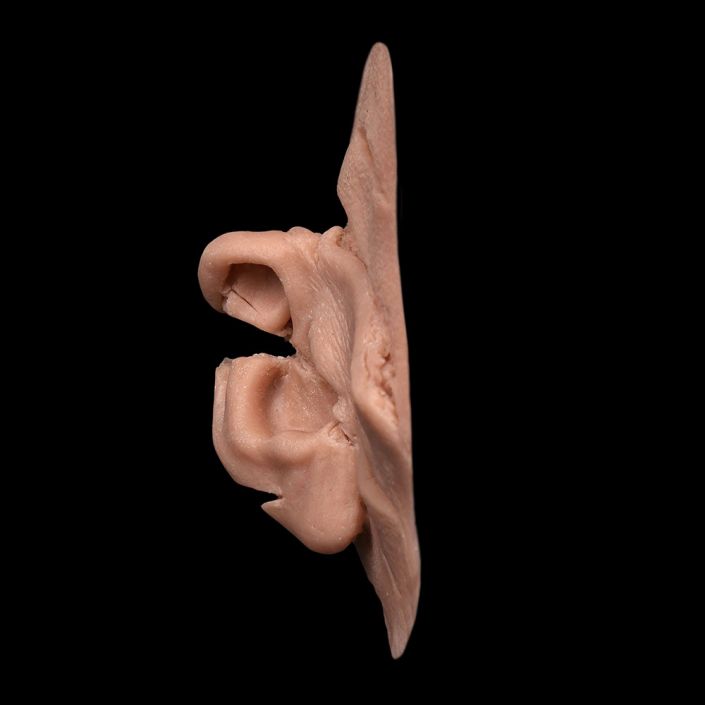 WD25 - Torn Face & Ear Wounds - Image 3