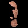 WD24 - Torn Face & Neck Wounds - Image 3