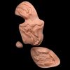 WD24 - Torn Face & Neck Wounds - Image 2