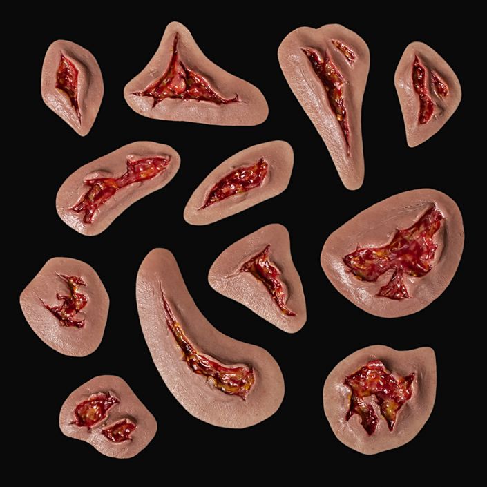 WD6 - Set of Various Wounds Small - Image 4