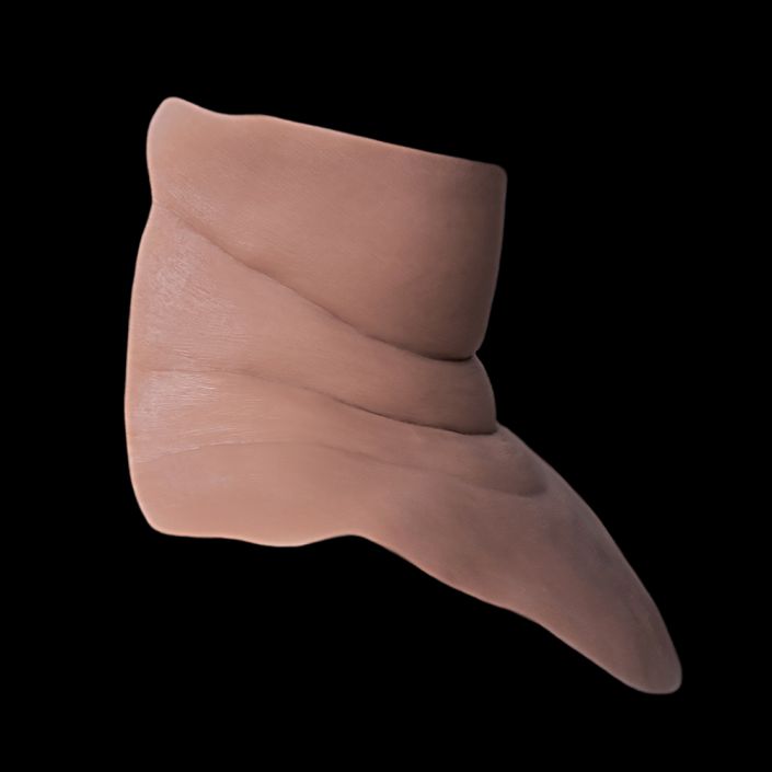 NK27 - Fat Neck Unisex - Image 3