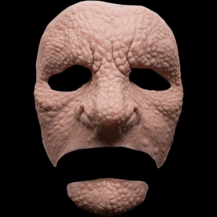 RF1 - Reptile Full Face Unisex