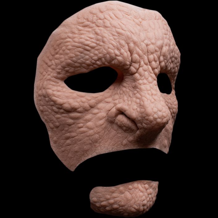 RF1 - Reptile Full Face Unisex - Image 2